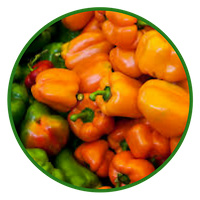 Habaneros